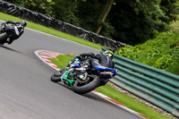 cadwell-no-limits-trackday;cadwell-park;cadwell-park-photographs;cadwell-trackday-photographs;enduro-digital-images;event-digital-images;eventdigitalimages;no-limits-trackdays;peter-wileman-photography;racing-digital-images;trackday-digital-images;trackday-photos